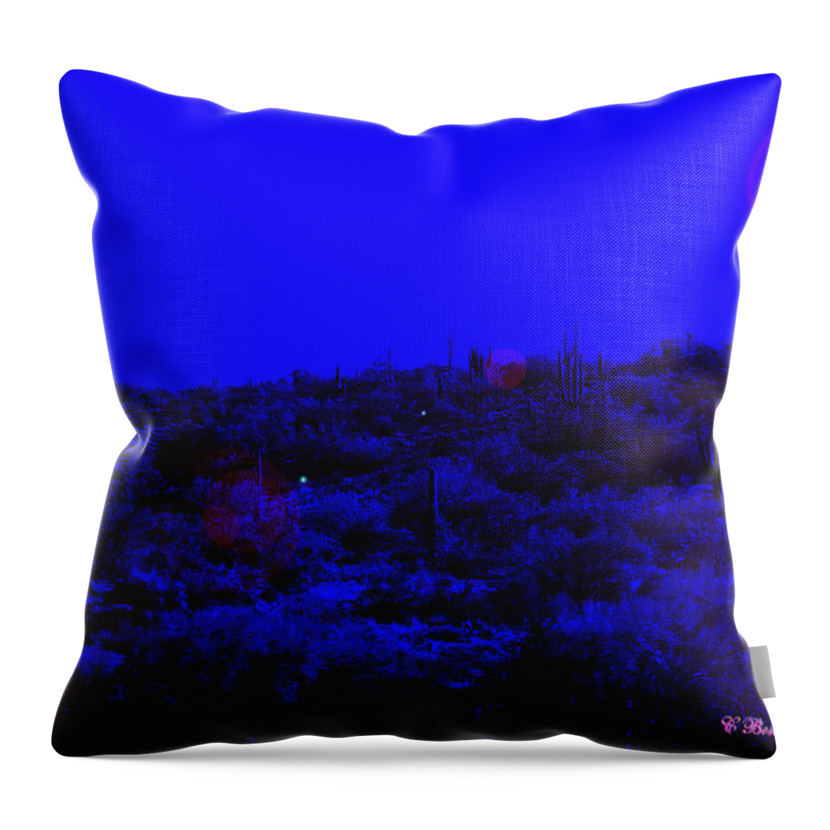 Desert Throw Pillow featuring the photograph Night or Day by Charles Benavidez
