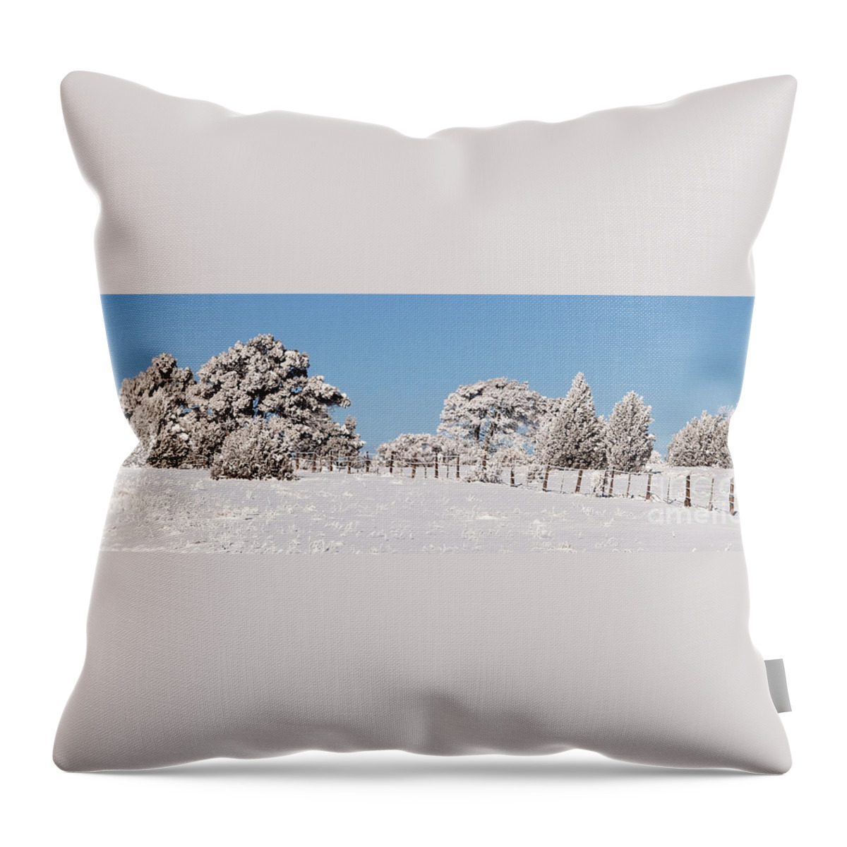 Snow Throw Pillow featuring the photograph Nine Below by Bob and Nancy Kendrick
