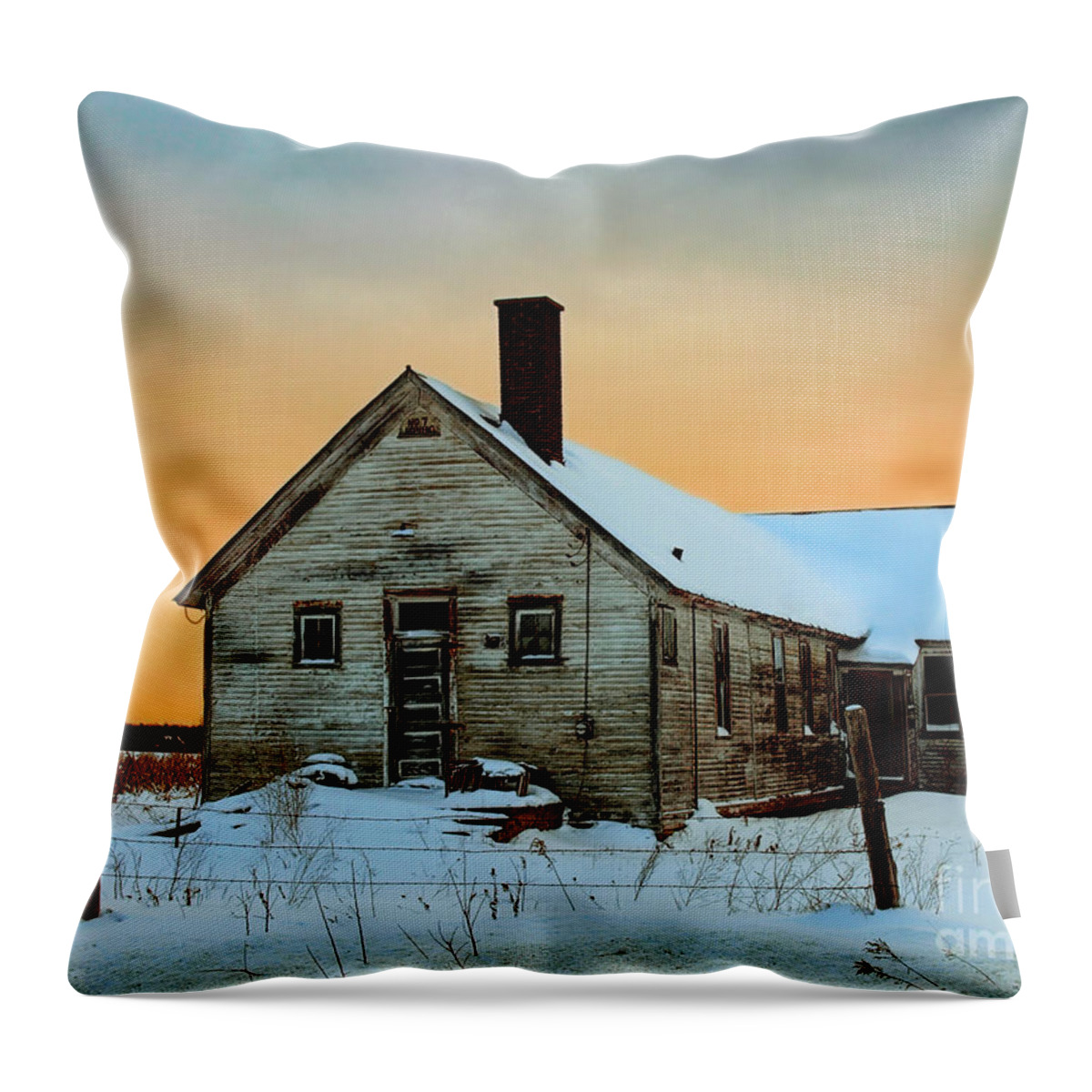 Farm Throw Pillow featuring the photograph No. 7 County Line Road by Terry Doyle
