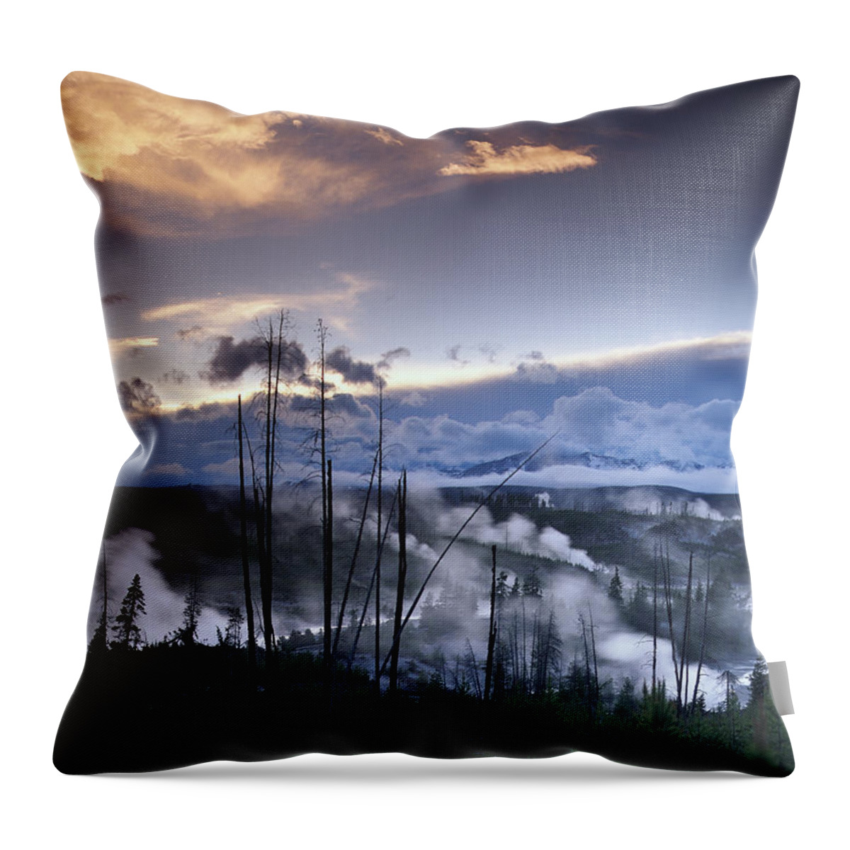 00173508 Throw Pillow featuring the photograph Norris Geyser Basin With Steam Plumes by Tim Fitzharris