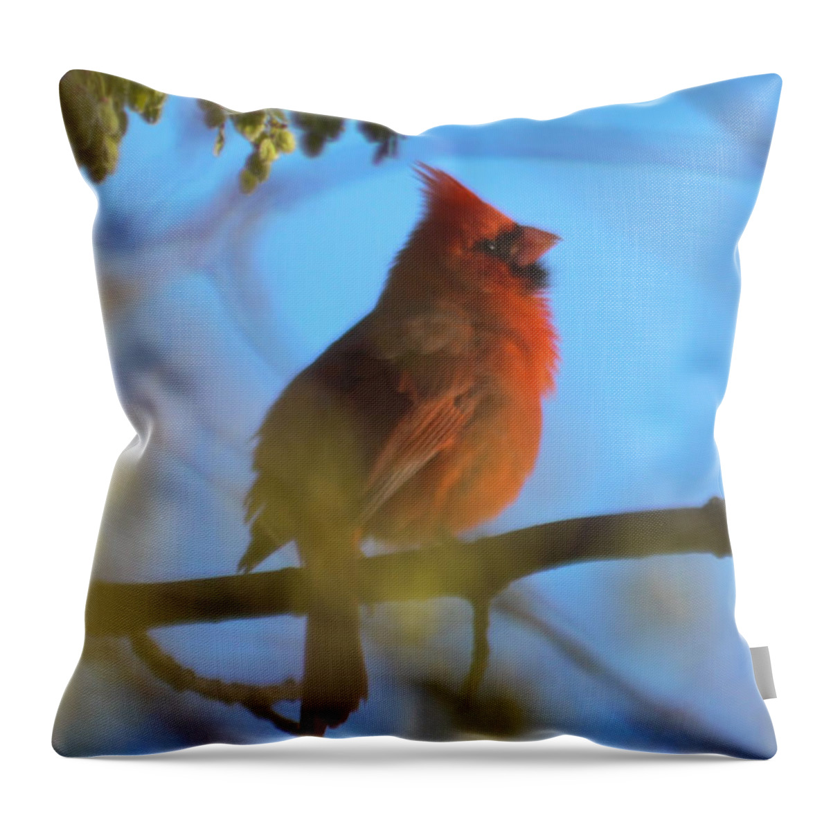 Bird Throw Pillow featuring the photograph Northern Cardinal by Ronald Grogan