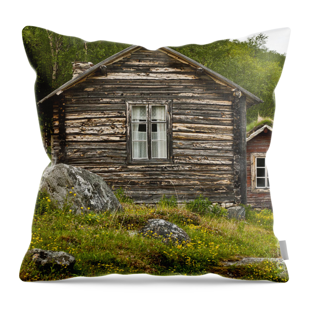 Europe Throw Pillow featuring the photograph Norwegian Timber House by Heiko Koehrer-Wagner