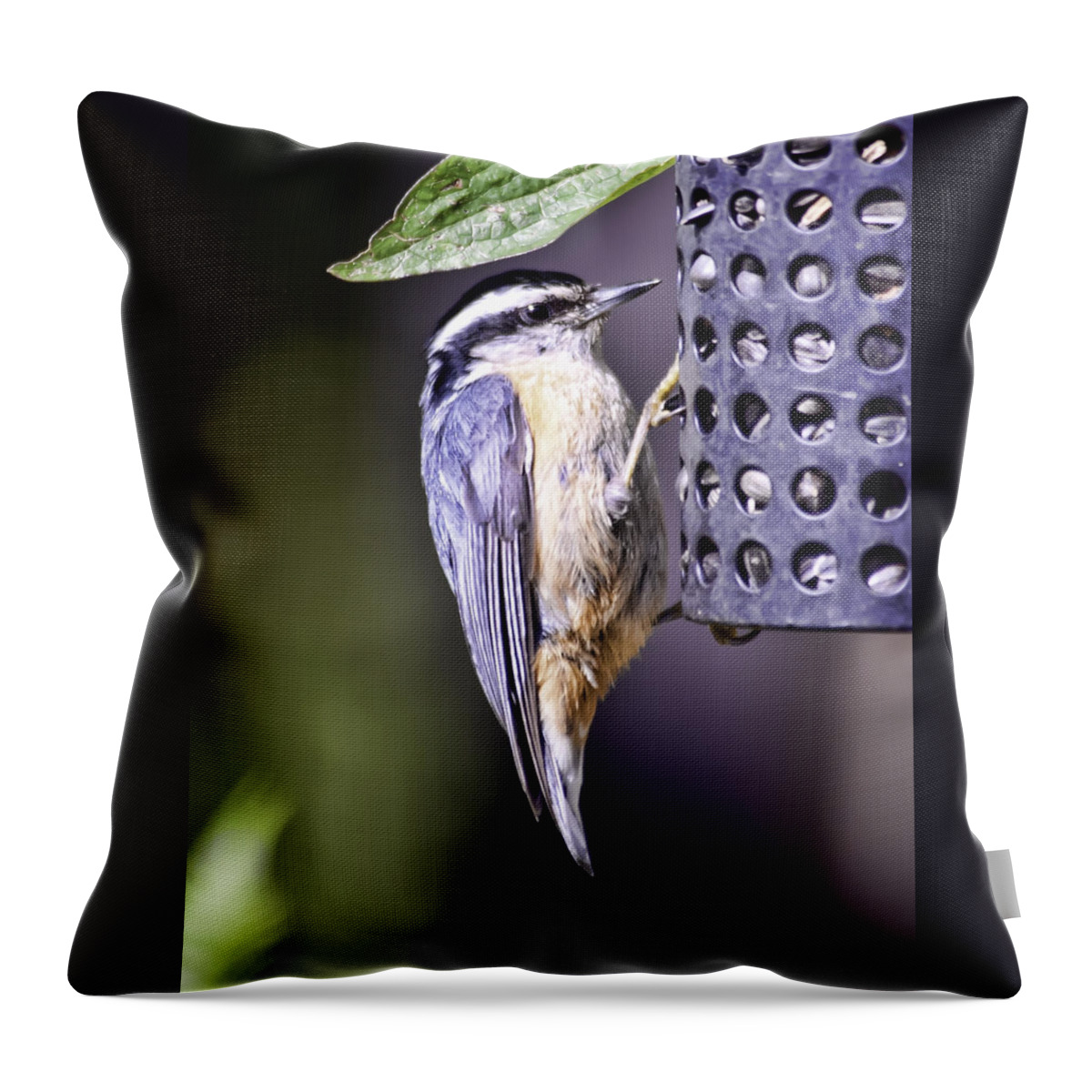washington State Throw Pillow featuring the photograph Nuthatch by Dan McManus