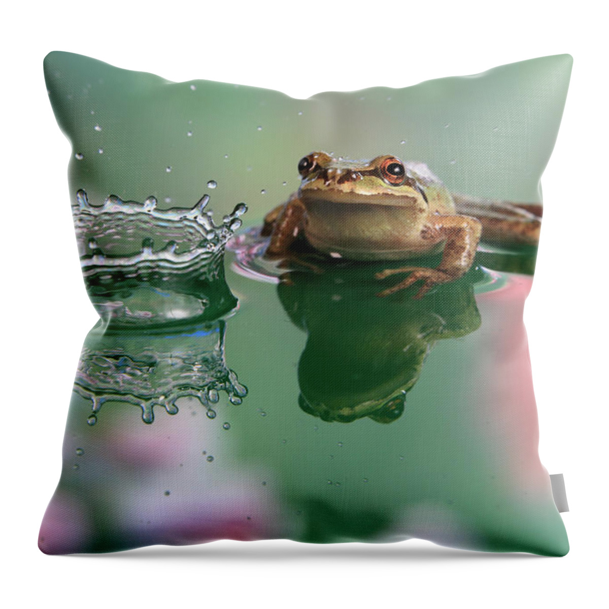 Macro Throw Pillow featuring the photograph Observation by William Lee