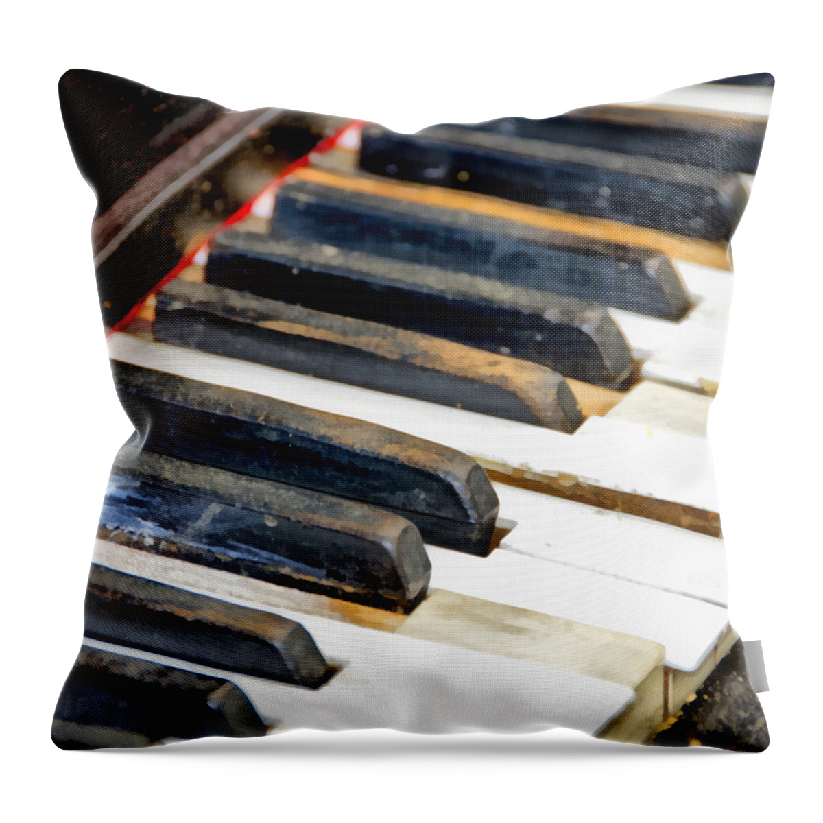 Piano Throw Pillow featuring the photograph Off Key by Angelina Tamez