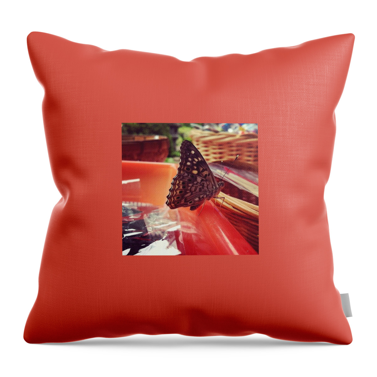 Butterfly Throw Pillow featuring the photograph Oh, Herro. #butterfly I Like Your White by Katie Cupcakes