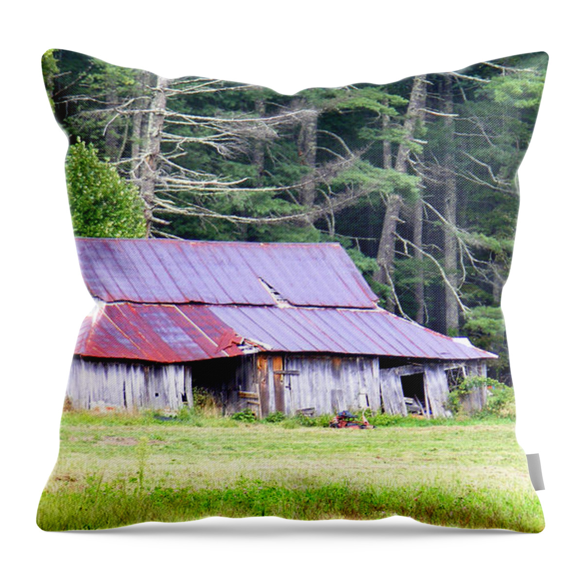 Barns Throw Pillow featuring the photograph Old Barn near Cashiers NC by Duane McCullough