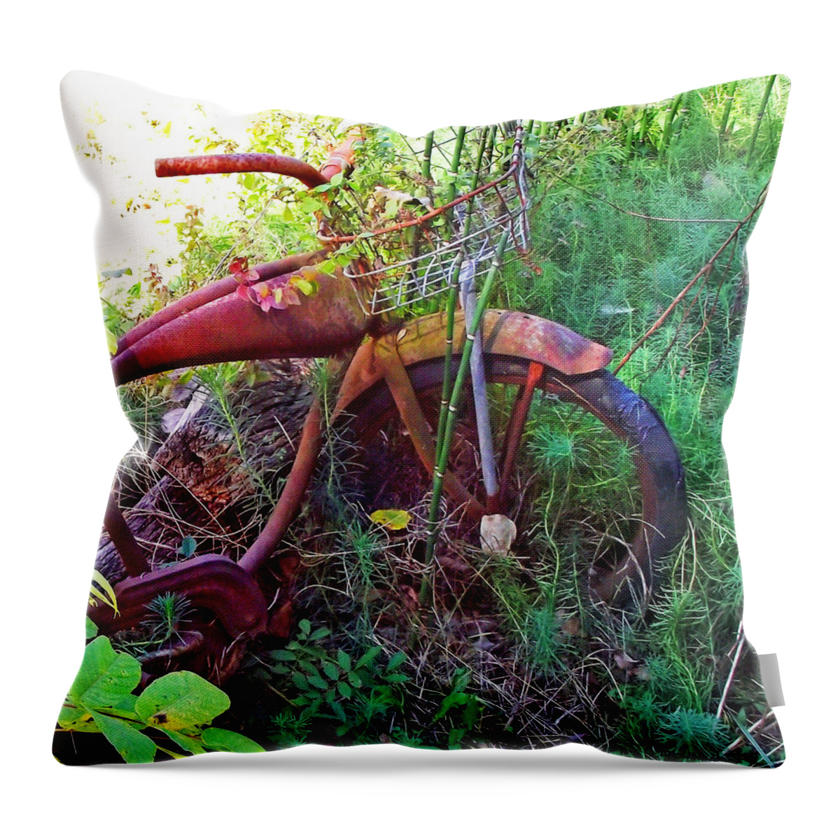 Old Bikes Throw Pillow featuring the photograph Old Bike and Weeds by Duane McCullough