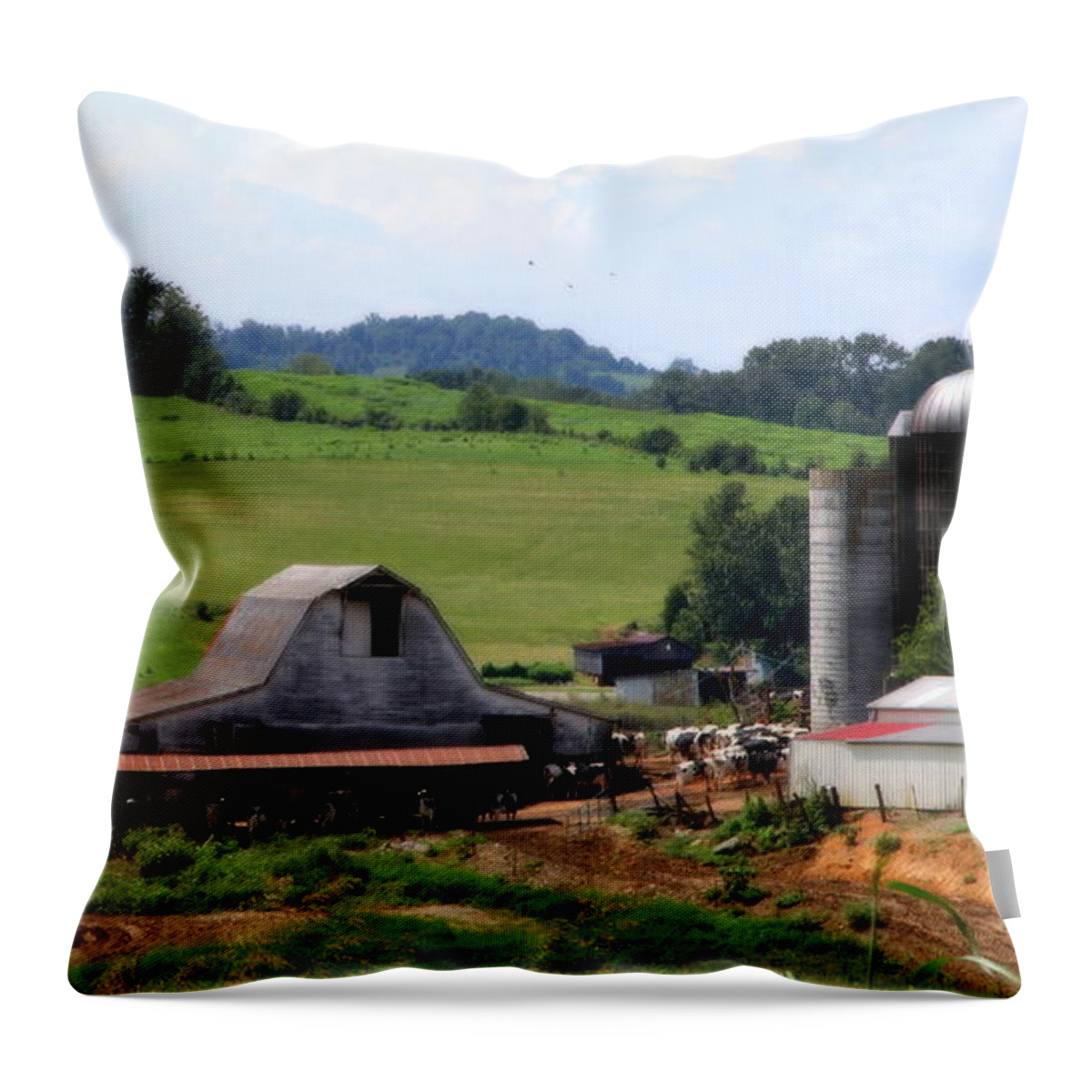 Barns Throw Pillow featuring the photograph Old Dairy Barn by Karen Wiles