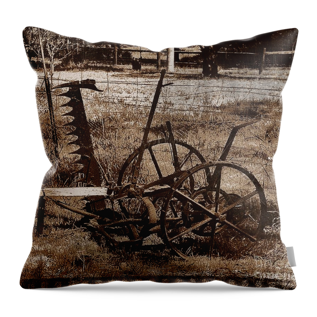 Australia Throw Pillow featuring the photograph Old Farm Equipment by Blair Stuart