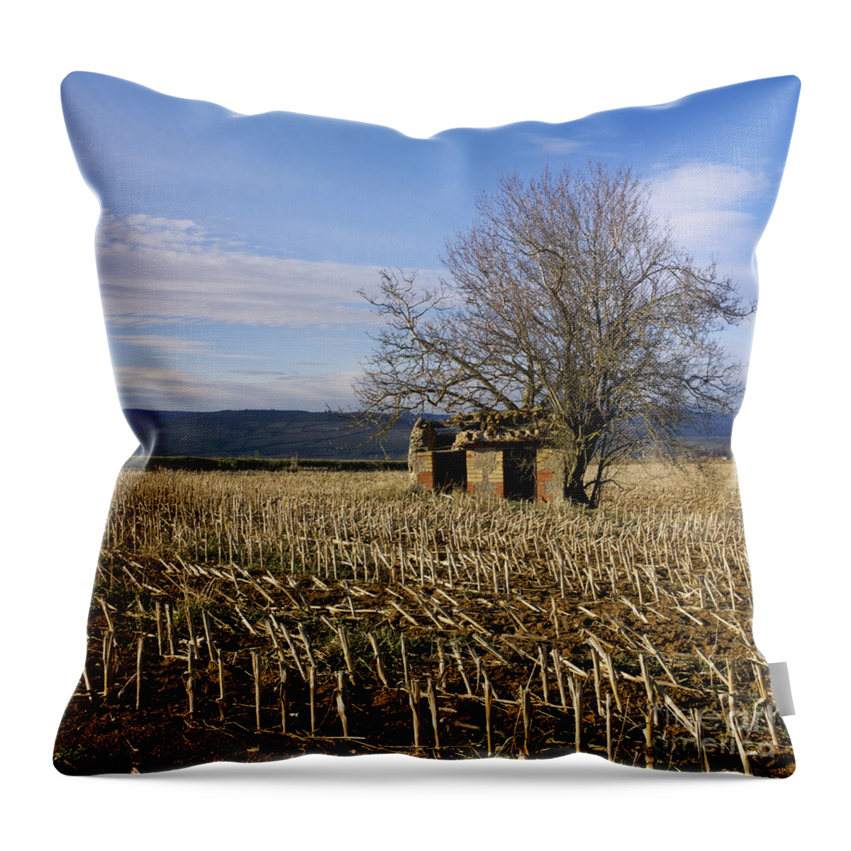 Zea Throw Pillow featuring the photograph Old hut isolated in a field. Auvergne. France by Bernard Jaubert