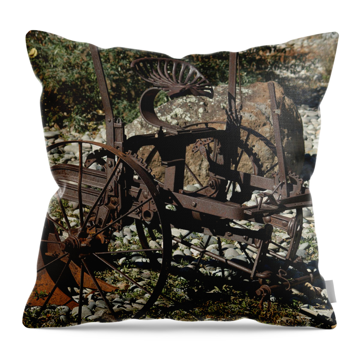 Plow Throw Pillow featuring the photograph Old Plow 2 by Ernest Echols