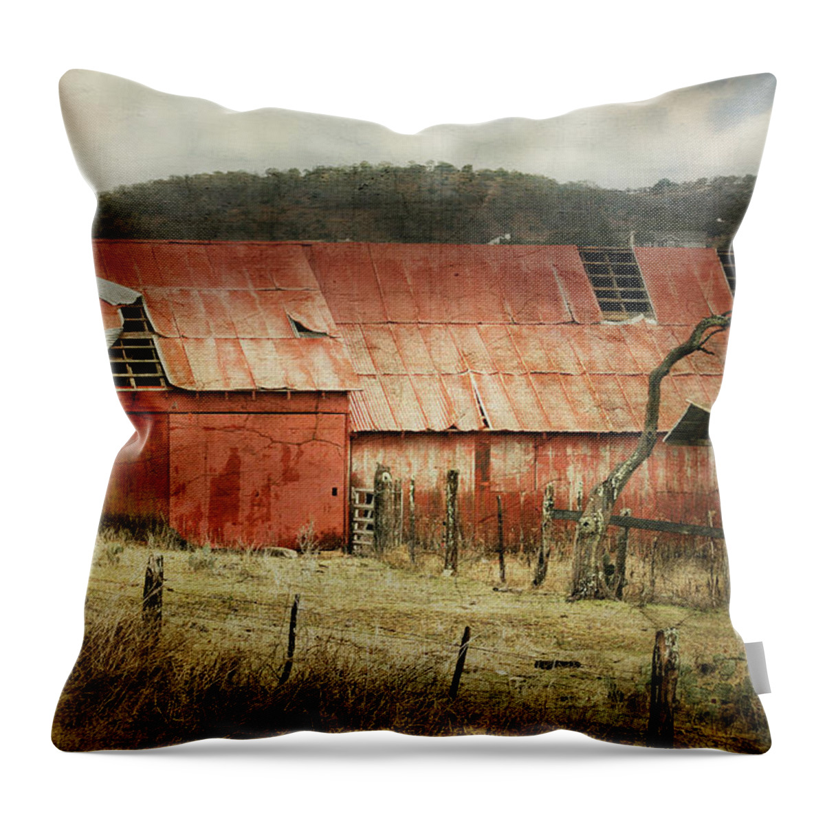 Barn Throw Pillow featuring the photograph Old Red Barn by Joan Bertucci