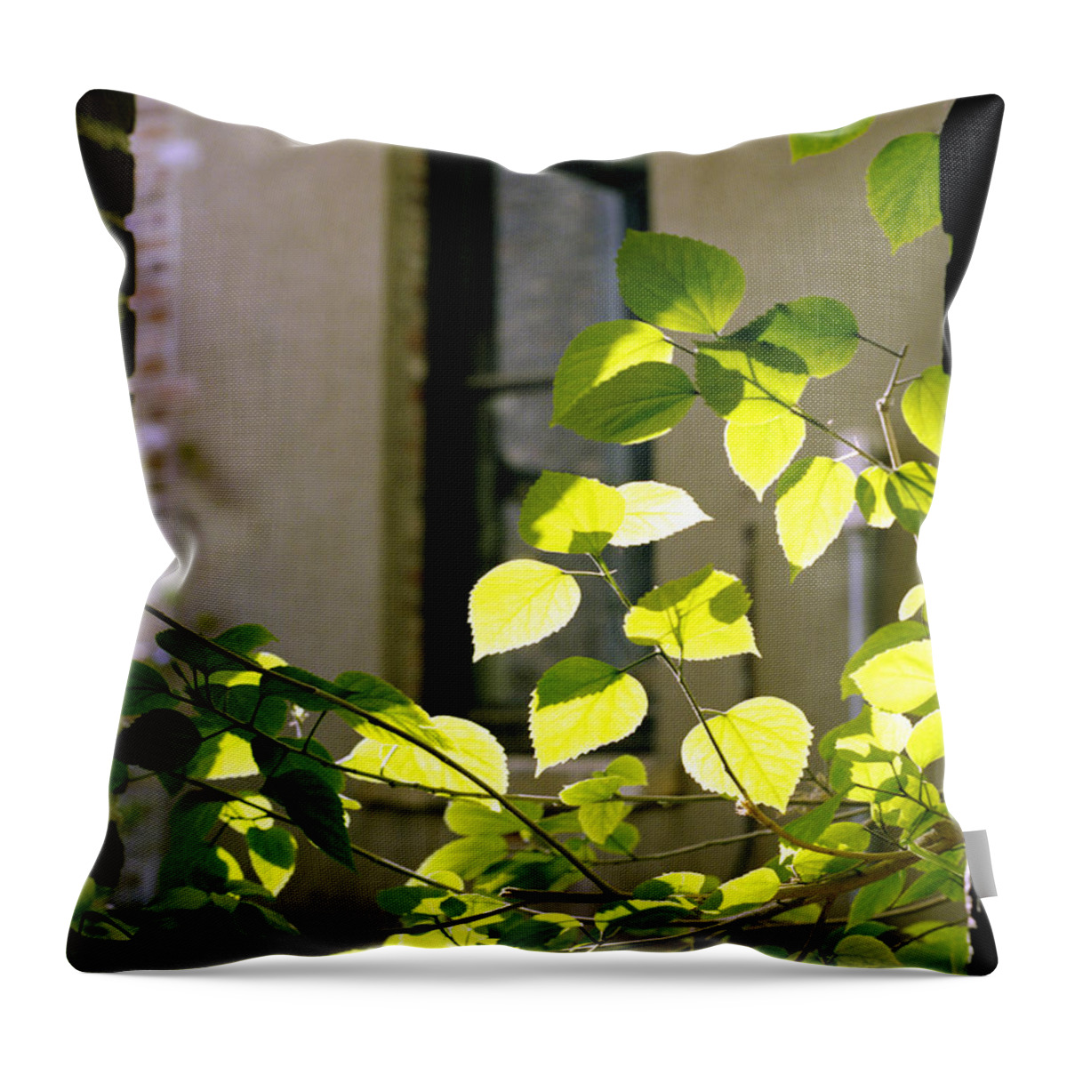 old Market Throw Pillow featuring the photograph Omaha Old Market Passageway by John Bowers