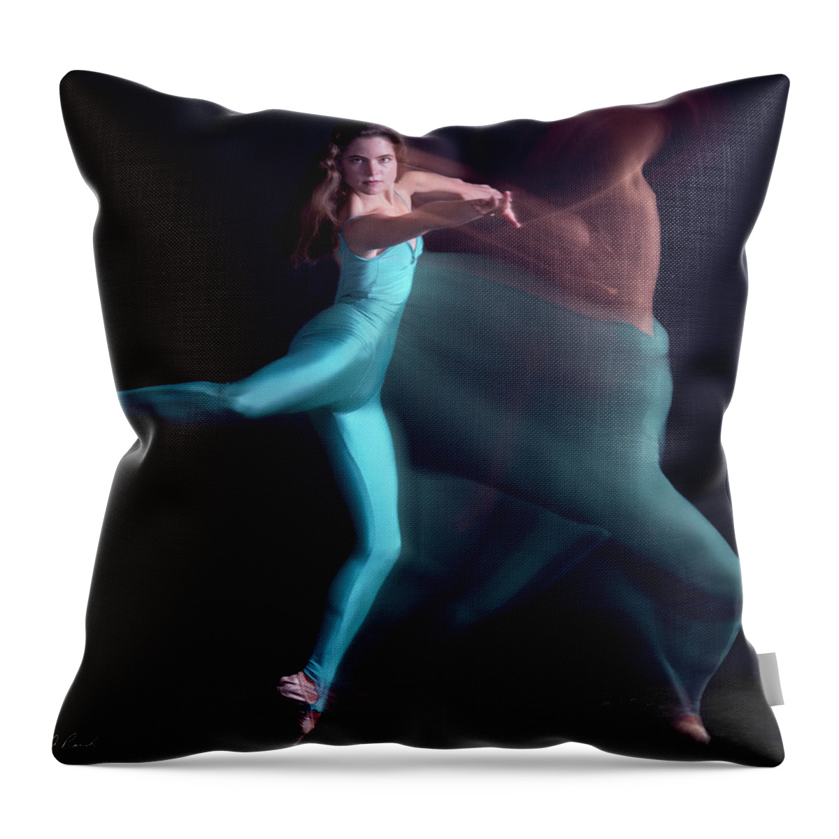 Photography Throw Pillow featuring the photograph On Point by Frederic A Reinecke