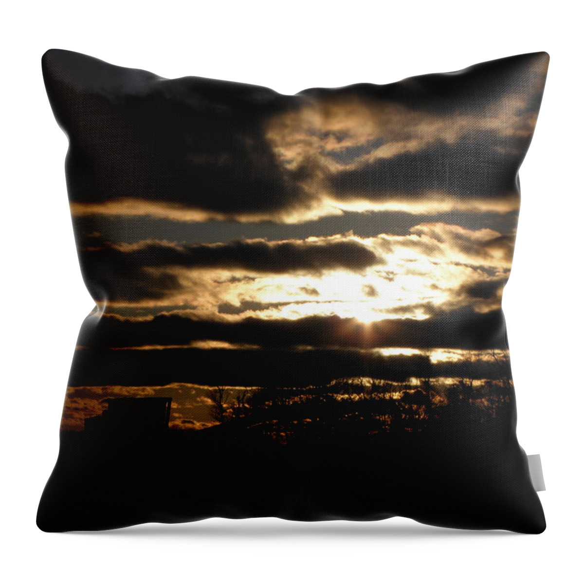 Sunset Throw Pillow featuring the photograph On The Farm At Sunset by Kim Galluzzo