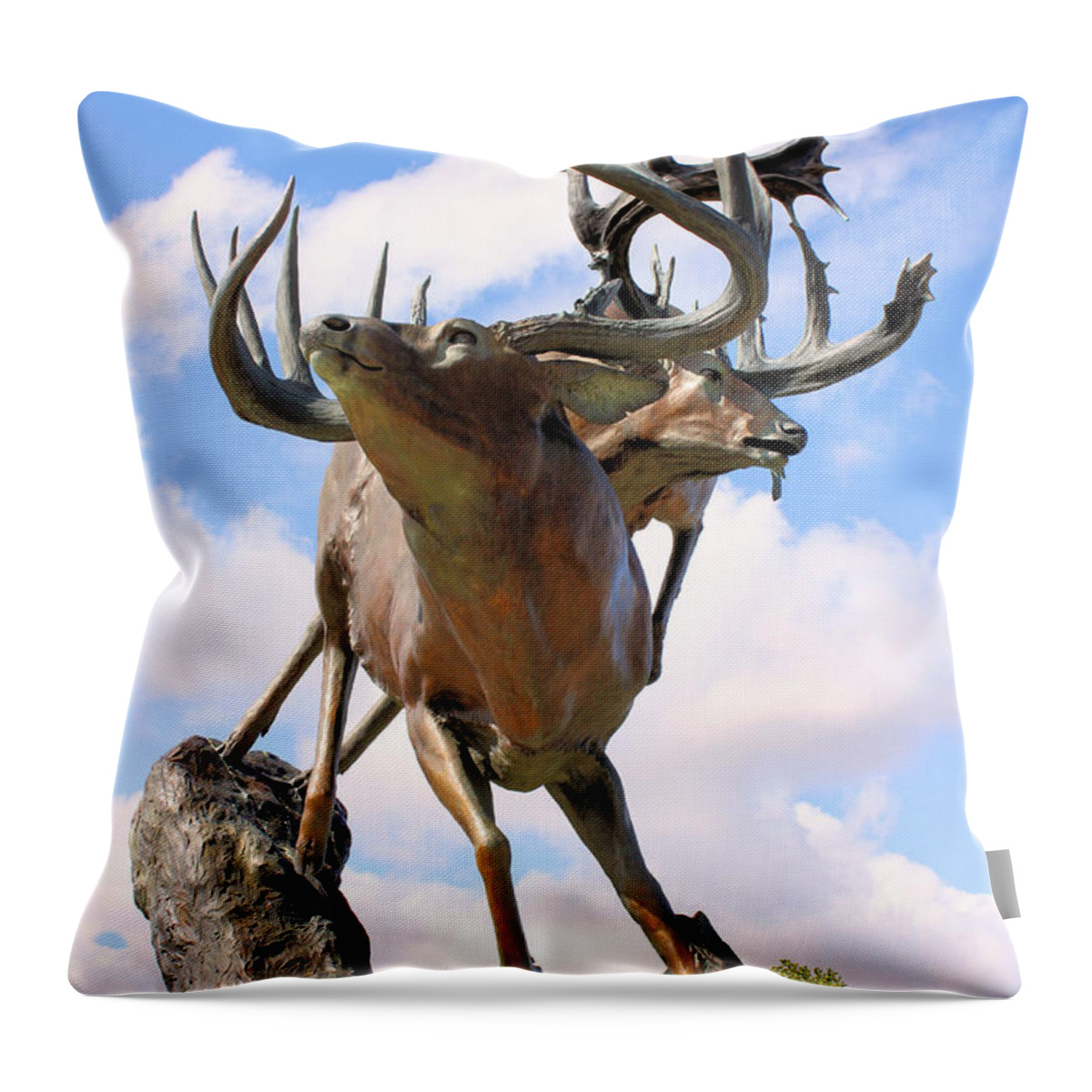 Statue Throw Pillow featuring the photograph On Top of the World by Kristin Elmquist