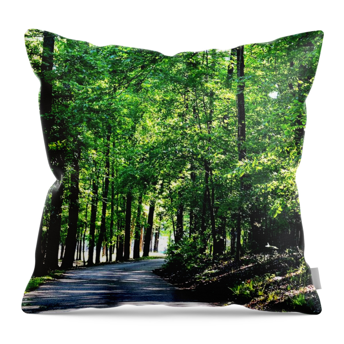 Time Throw Pillow featuring the photograph Once Upon A Time by Maria Urso