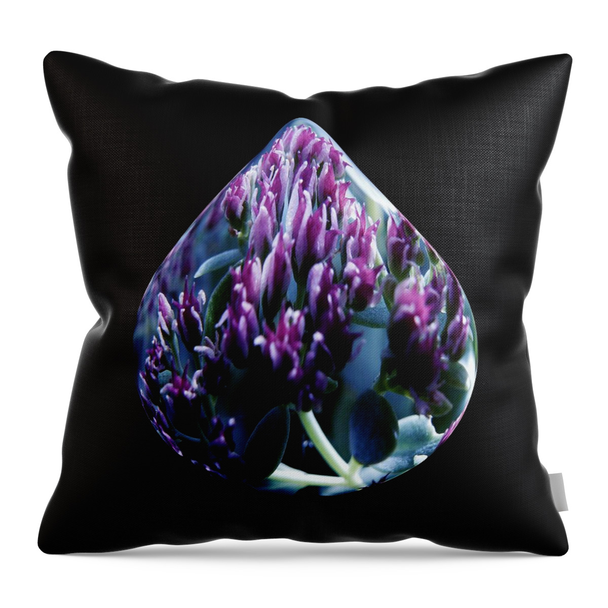 Water Throw Pillow featuring the photograph One Drop of Water by Barbara St Jean