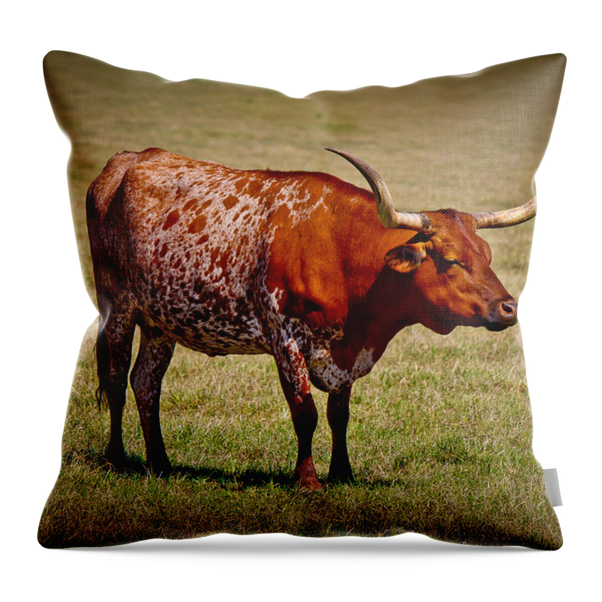 Afternoon Throw Pillow featuring the photograph One Lone Longhorn by Doug Long
