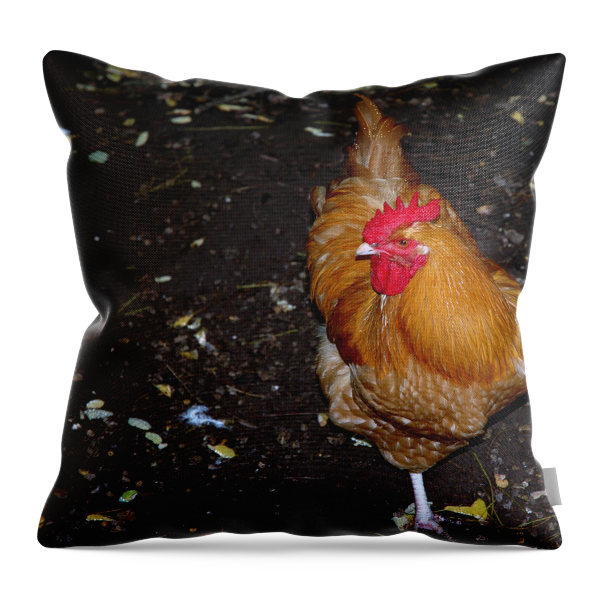 Usa Throw Pillow featuring the photograph Orange Chicken by LeeAnn McLaneGoetz McLaneGoetzStudioLLCcom