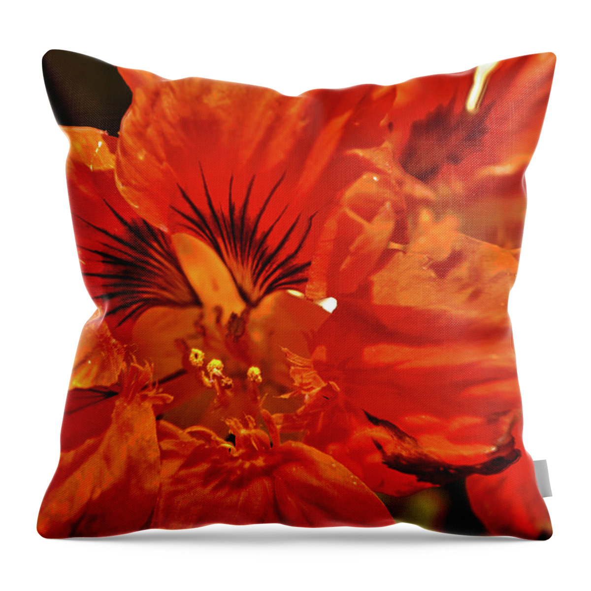 Flower Throw Pillow featuring the photograph Orange by Paul Beckelheimer