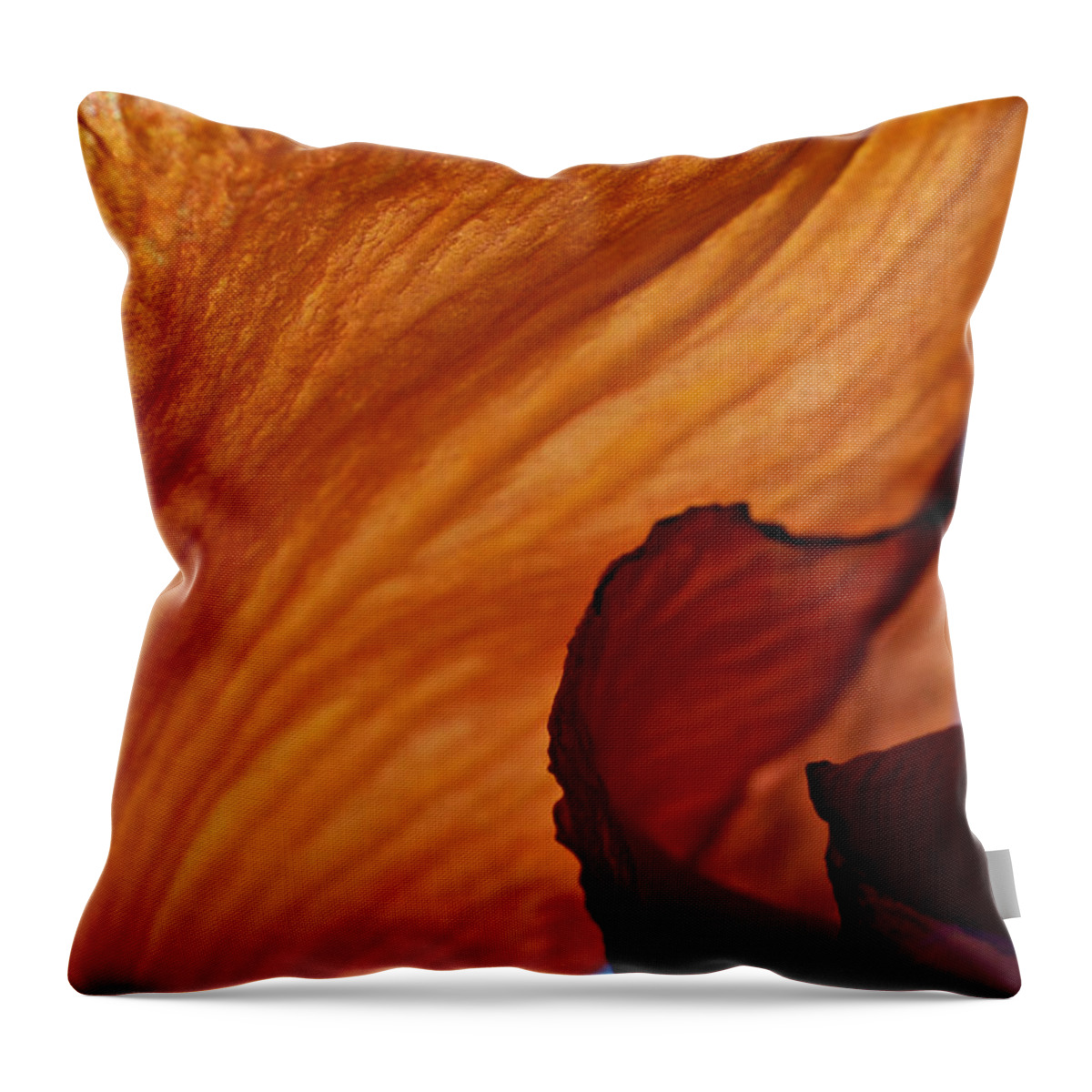 Flower Throw Pillow featuring the photograph Orange Petal Blue Sky by David Resnikoff