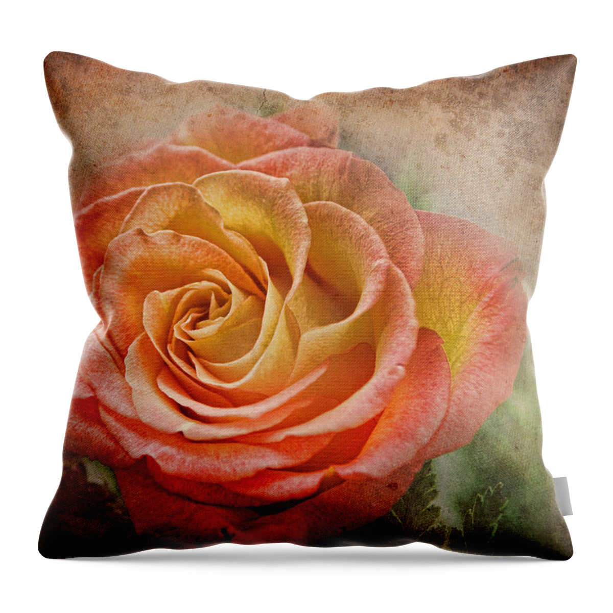 Rose Throw Pillow featuring the photograph Orange Rose by Norma Warden