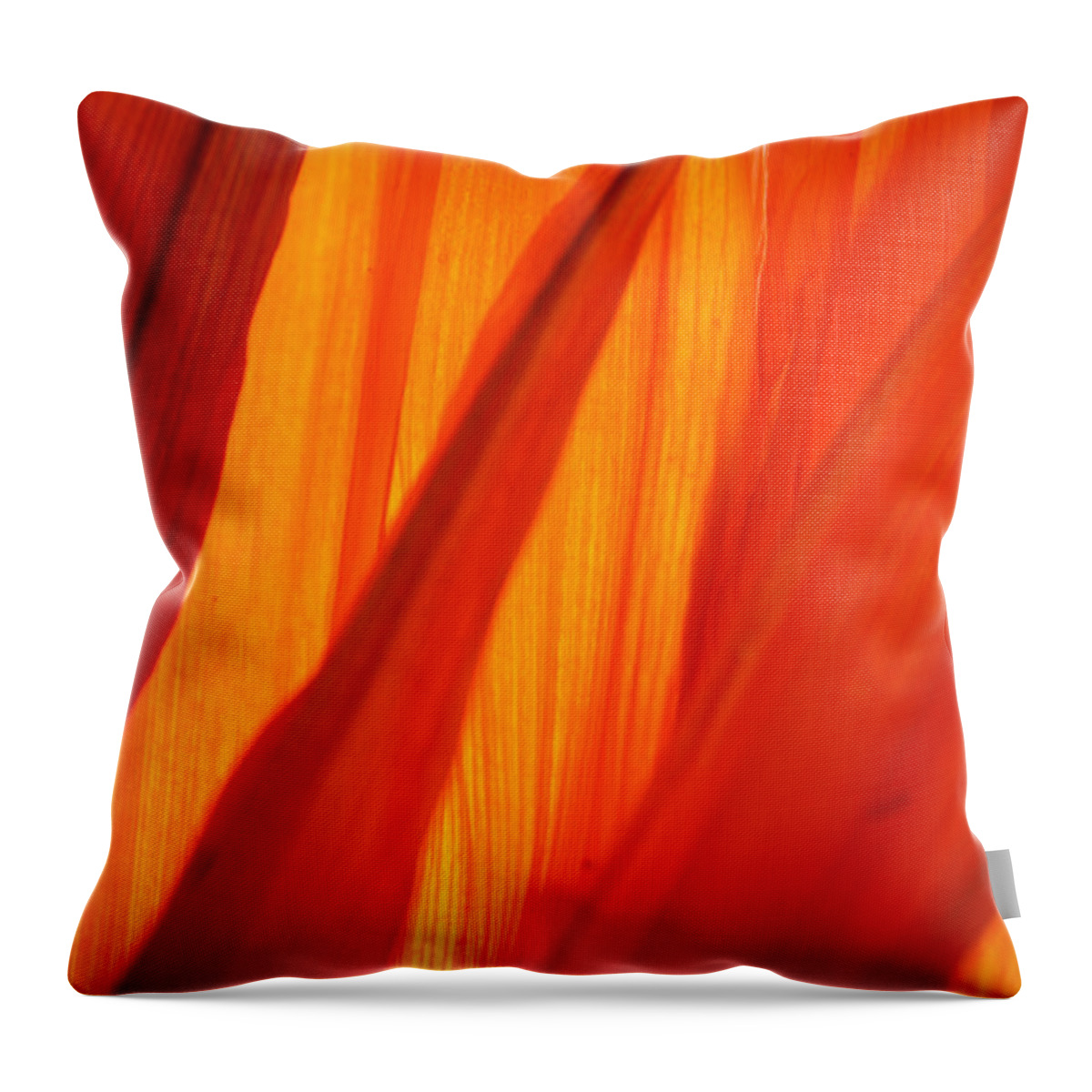 Orange Throw Pillow featuring the photograph Orange Sunshine by Bobby Villapando