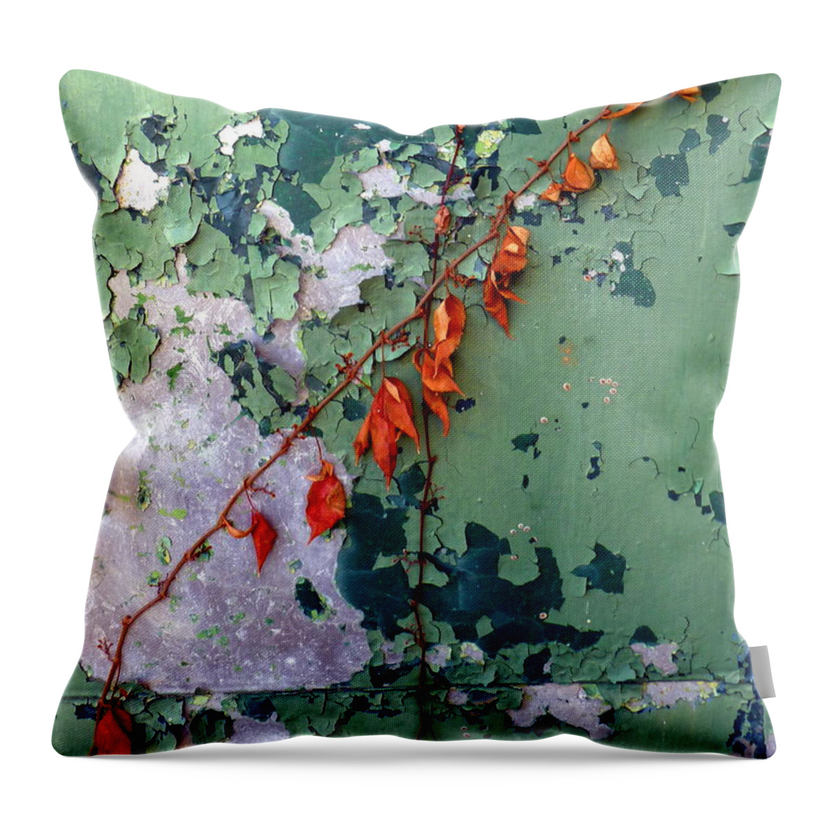 Orange Throw Pillow featuring the photograph Orange Vine on Peeling Green Door by Carla Parris