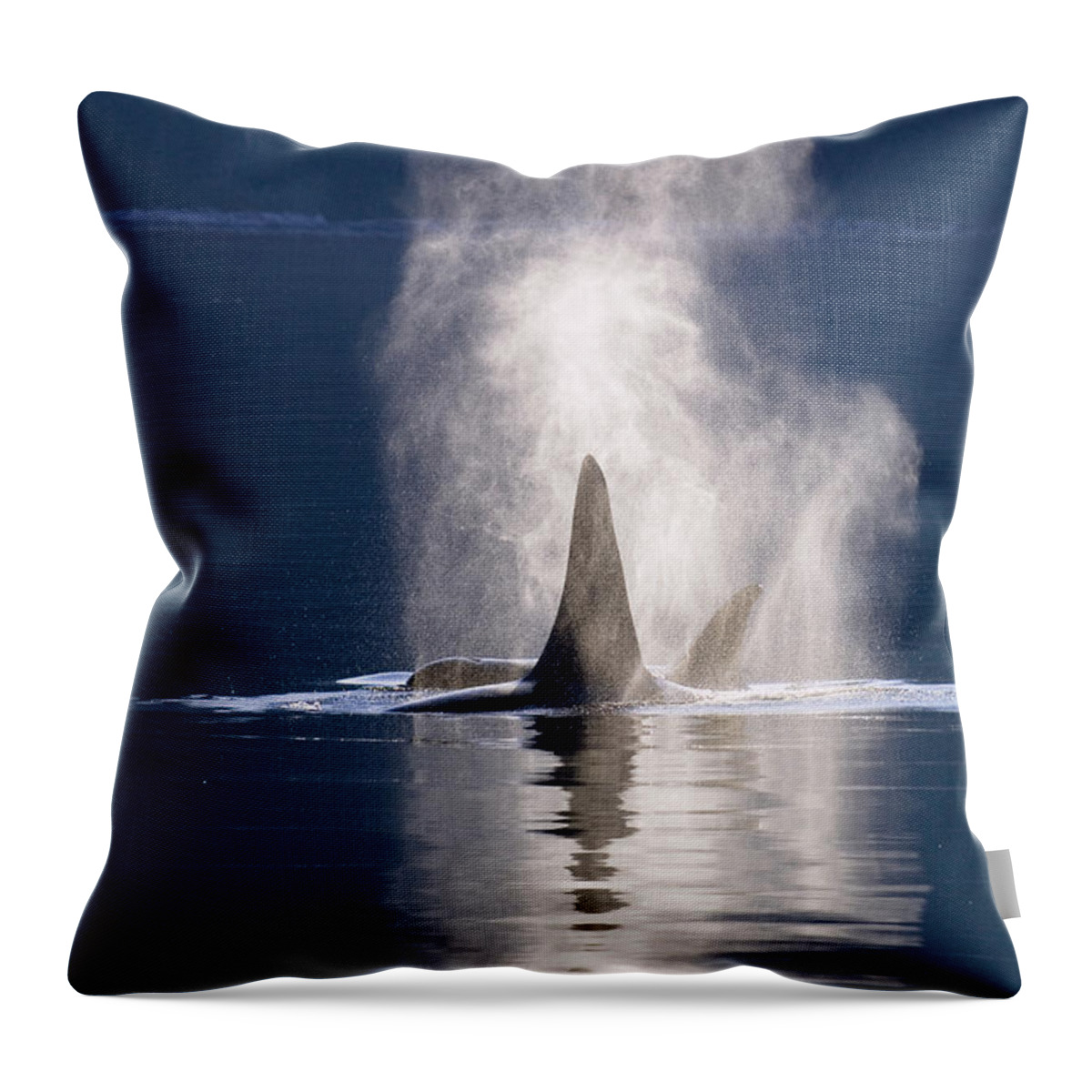 00999098 Throw Pillow featuring the photograph Orca Pair Spouting Southeast Alaska by Flip Nicklin