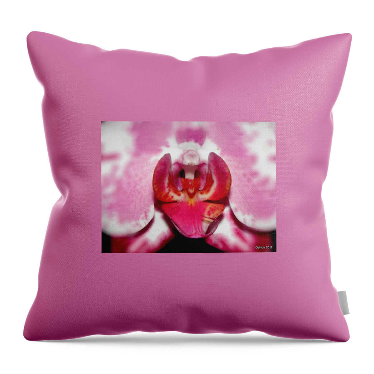 Orchid Throw Pillow featuring the photograph Orchid Glow by Kim Galluzzo
