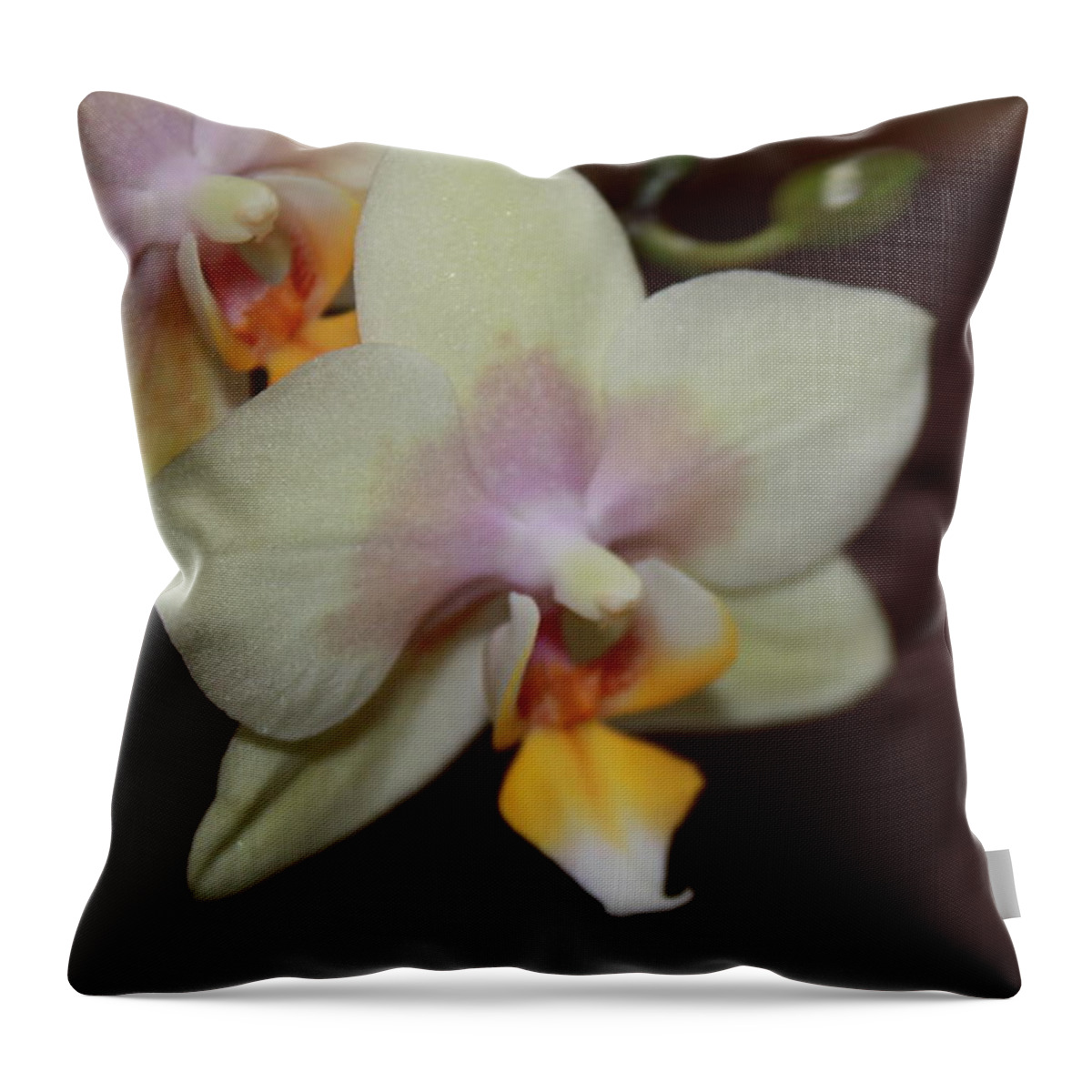 Art Throw Pillow featuring the photograph Orchid I by Kelly Hazel