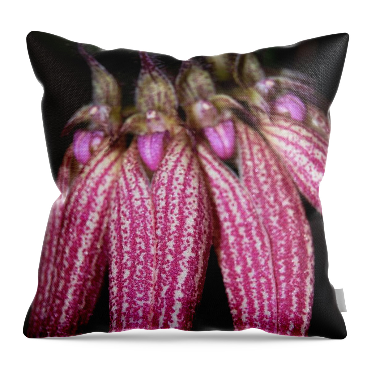 Rare Throw Pillow featuring the photograph Orchid Macro 3 by Angela Murray