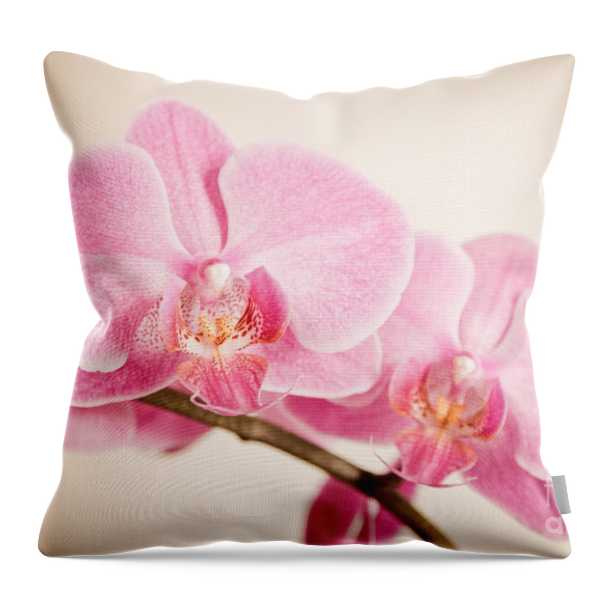 Asia Throw Pillow featuring the photograph Orchid Pastel by Hannes Cmarits