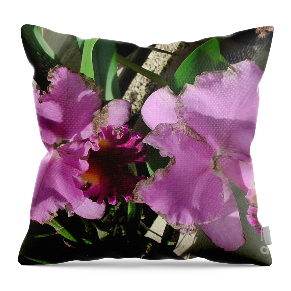 Landscape Throw Pillow featuring the photograph Orchids 12 by Snejana Videlova
