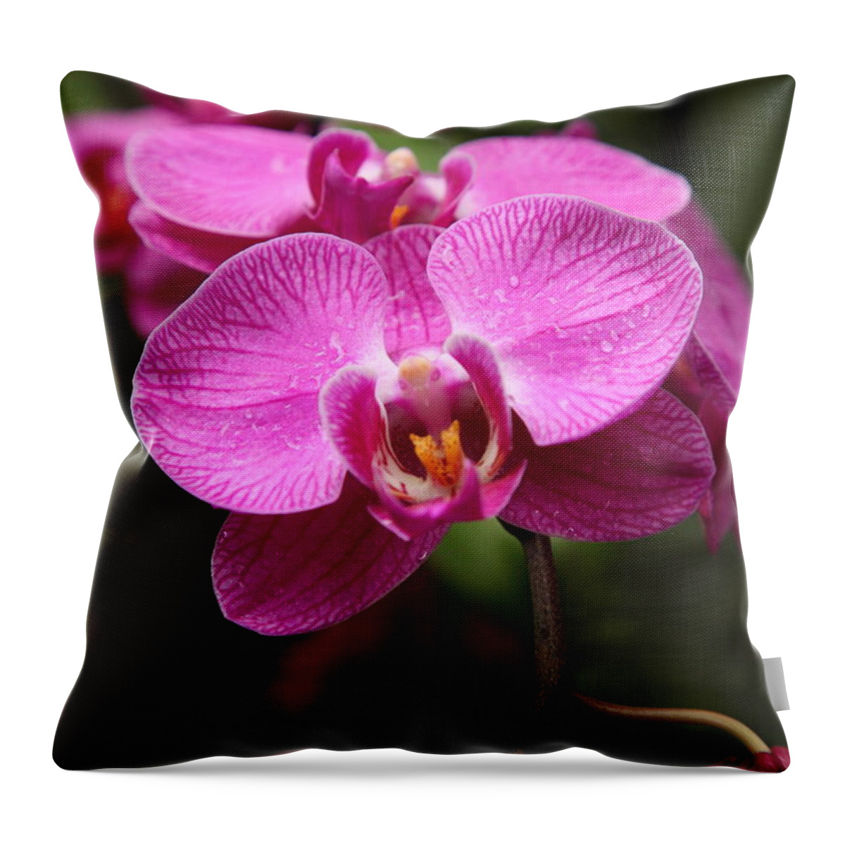 Pink Throw Pillow featuring the photograph Orchids by Milena Boeva