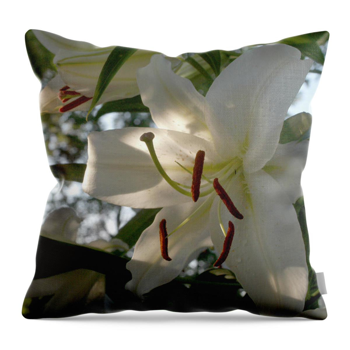 Lilies Throw Pillow featuring the photograph Oriental Lilies by Wanda Brandon