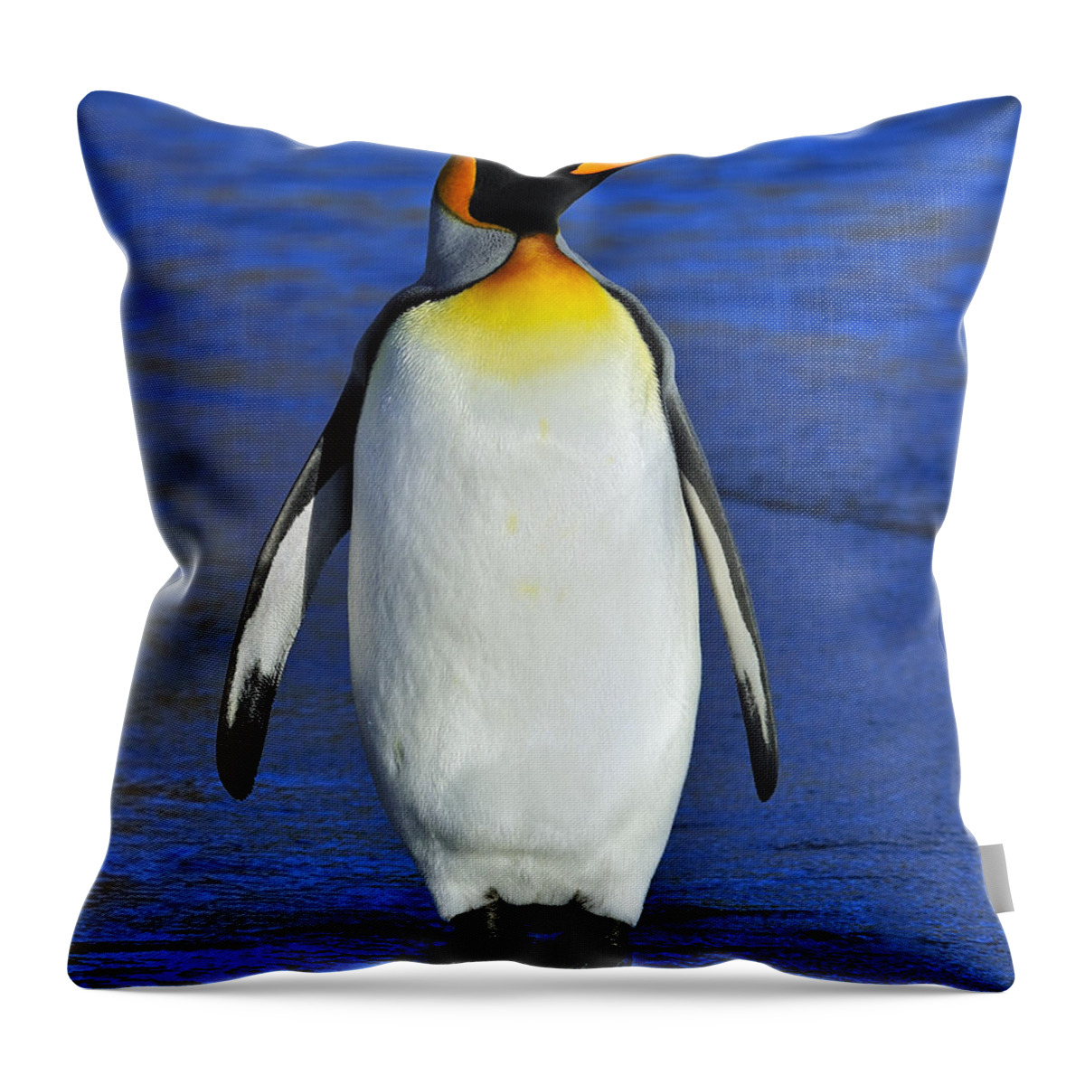 King Penguin Throw Pillow featuring the photograph Out Of Water by Tony Beck