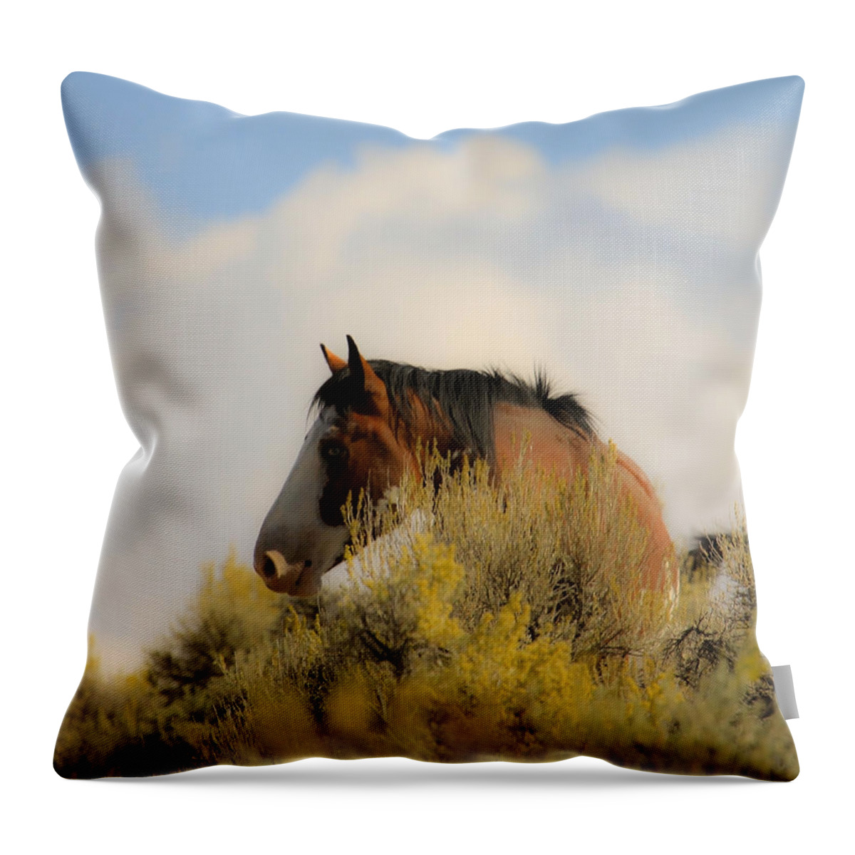 White Horses Throw Pillow featuring the photograph Over the Hill Pinto by Steve McKinzie