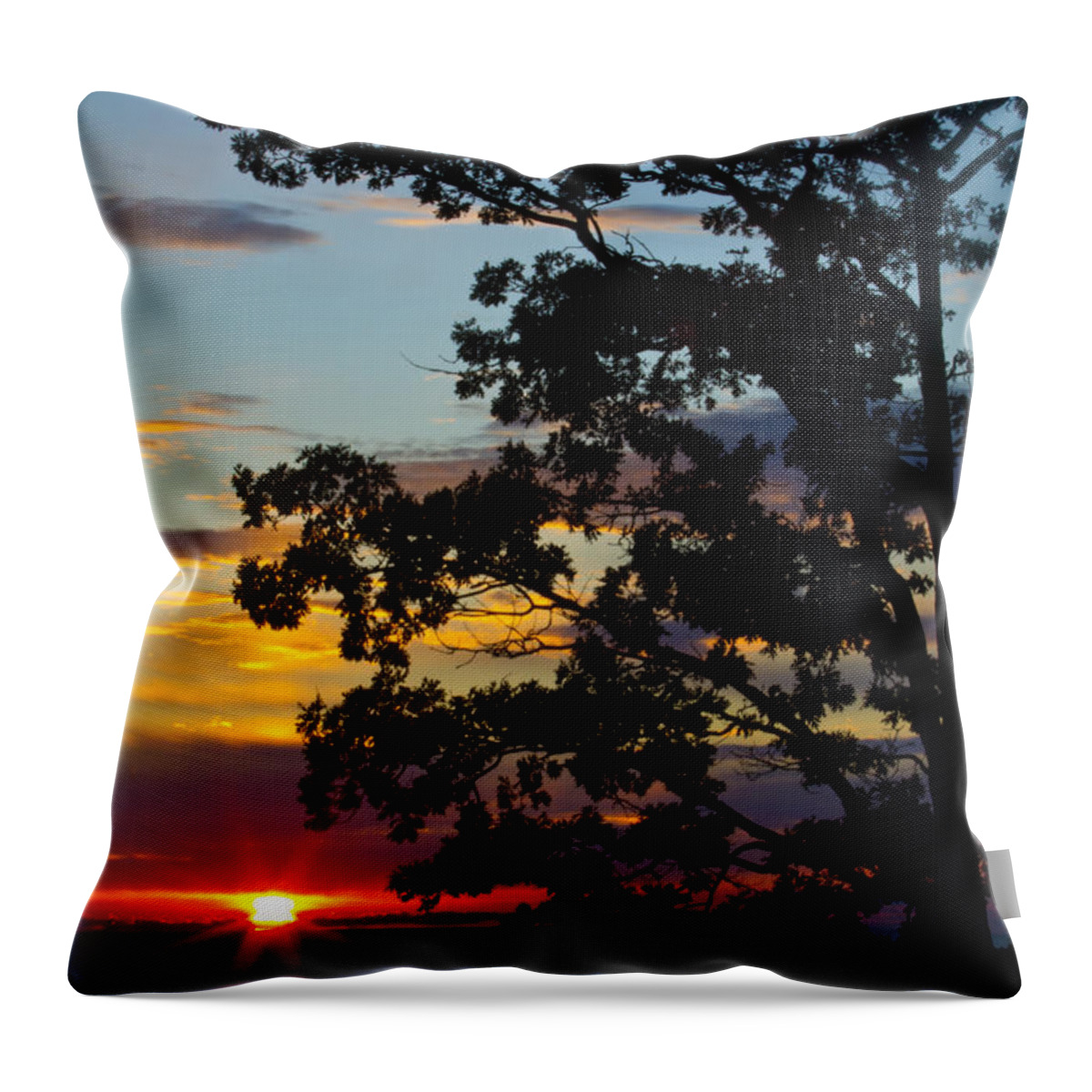 Photography Throw Pillow featuring the photograph Overlooking Lake Michigan by Frederic A Reinecke