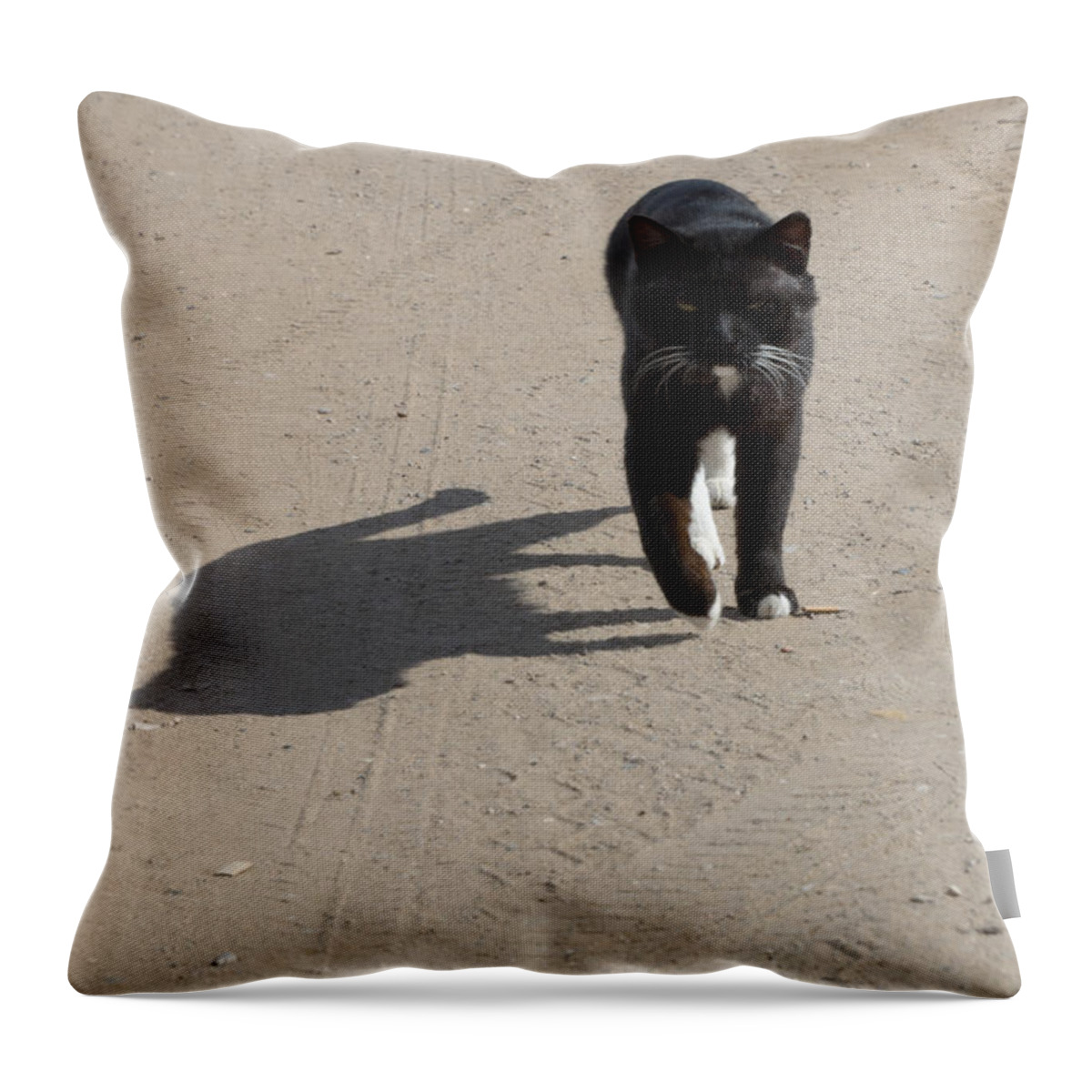 Cat Throw Pillow featuring the photograph Owner by Michael Goyberg