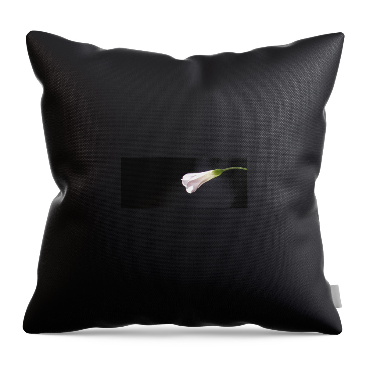 Floral Garden Throw Pillow featuring the photograph Oxalis Bud by Kume Bryant
