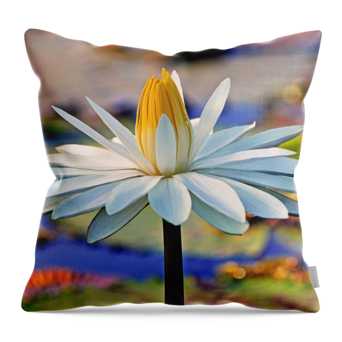 Flower Throw Pillow featuring the photograph Painted by the Sun by Melanie Moraga