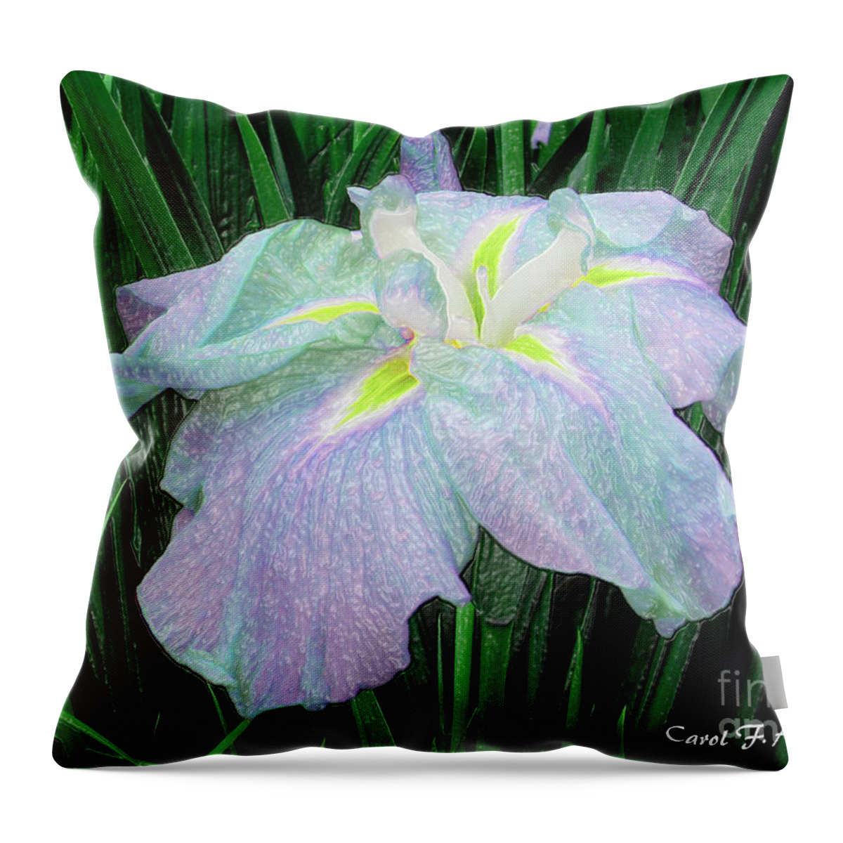 Lavender Throw Pillow featuring the photograph Painterly Colorful Iris by Carol F Austin