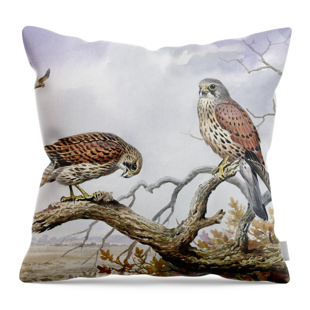 Hovering; Perched; Bird Eating; Tree Tops; Birds; Bird Of Prey; Faucon Crecerelle; Falco Tinnunculus; Landscape Throw Pillow featuring the painting Pair of Kestrels by Carl Donner 