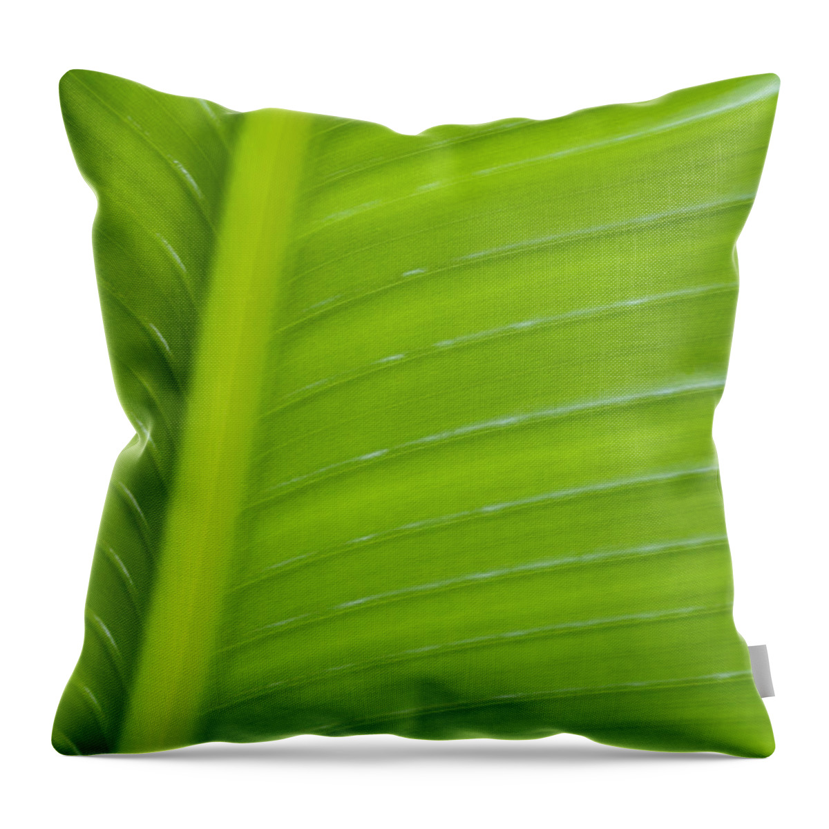 Abstract Throw Pillow featuring the photograph Palm Pattern by Joe Carini - Printscapes