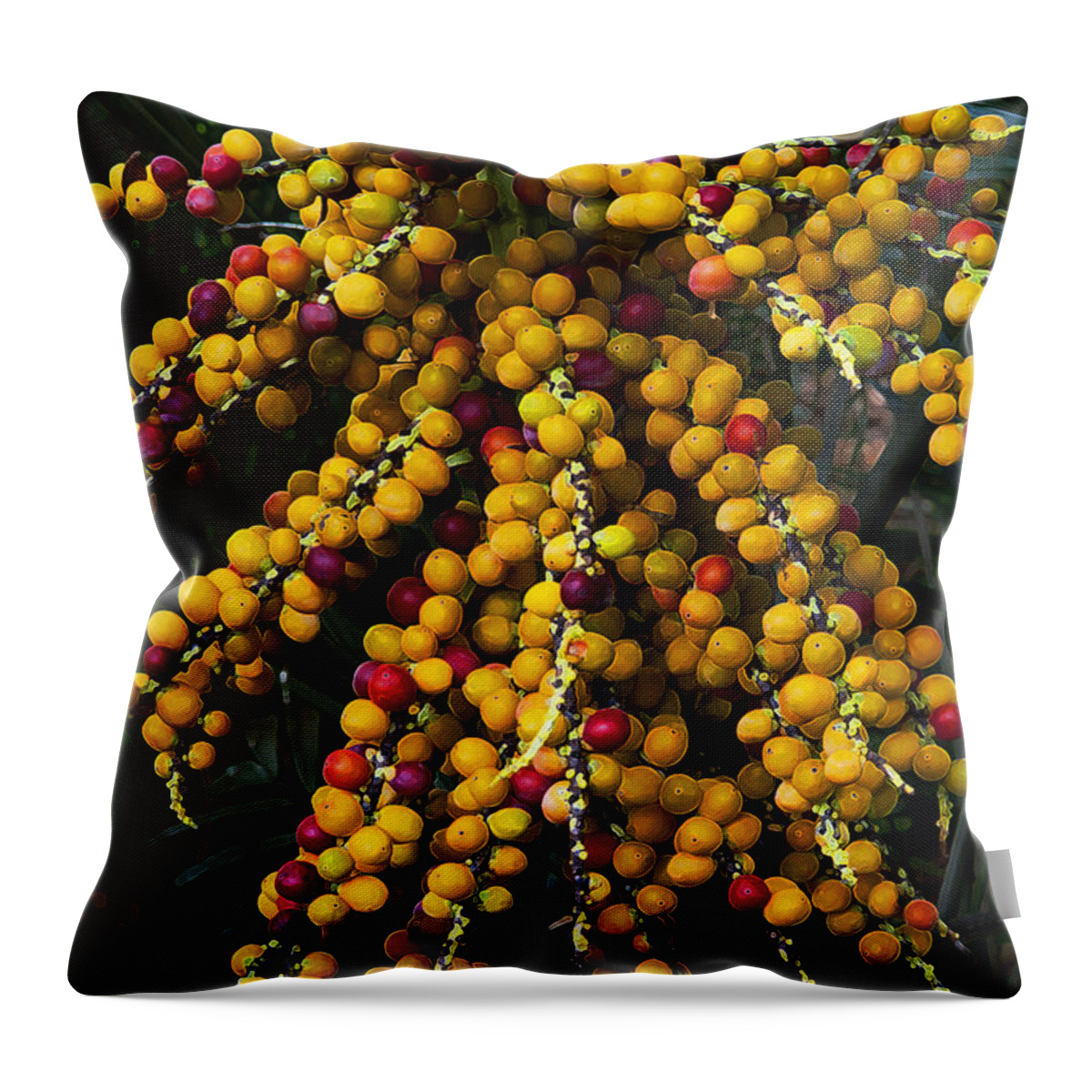 Palm Seed Throw Pillow featuring the photograph Palm Seeds Baroque by Steven Sparks