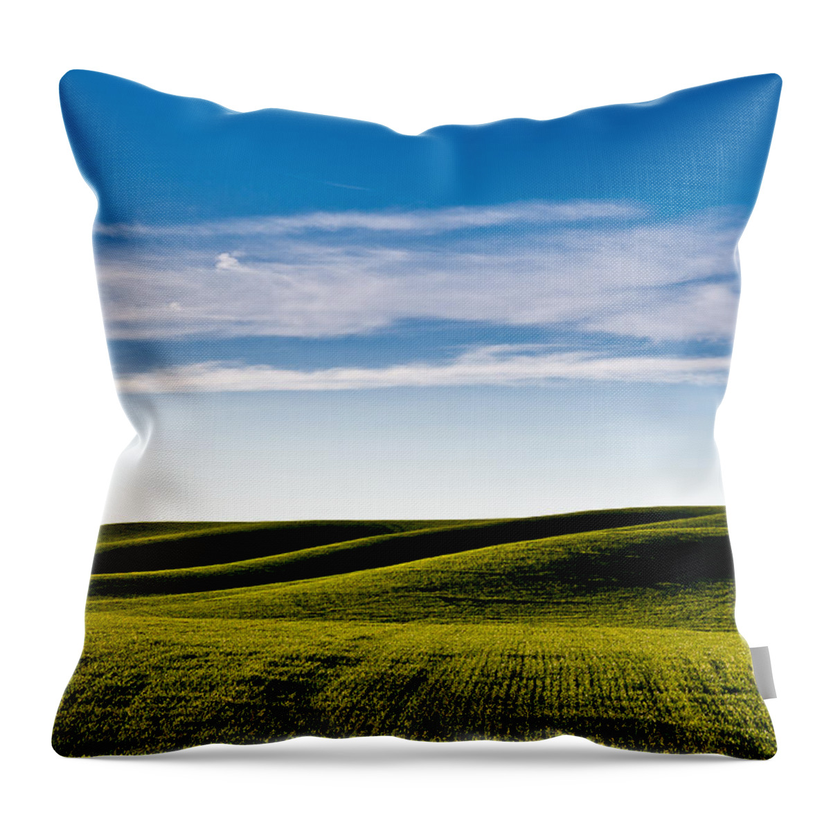 Palouse Throw Pillow featuring the photograph Palouse Hills 4 by Niels Nielsen