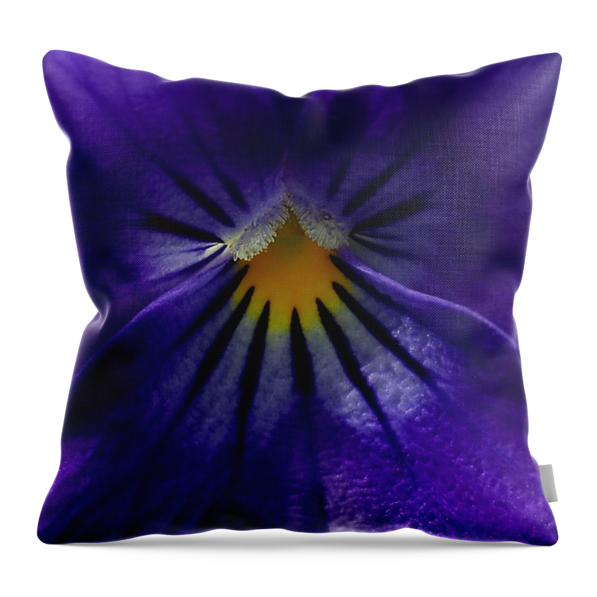 Pansies Throw Pillow featuring the photograph Pansy Abstract by Lisa Phillips